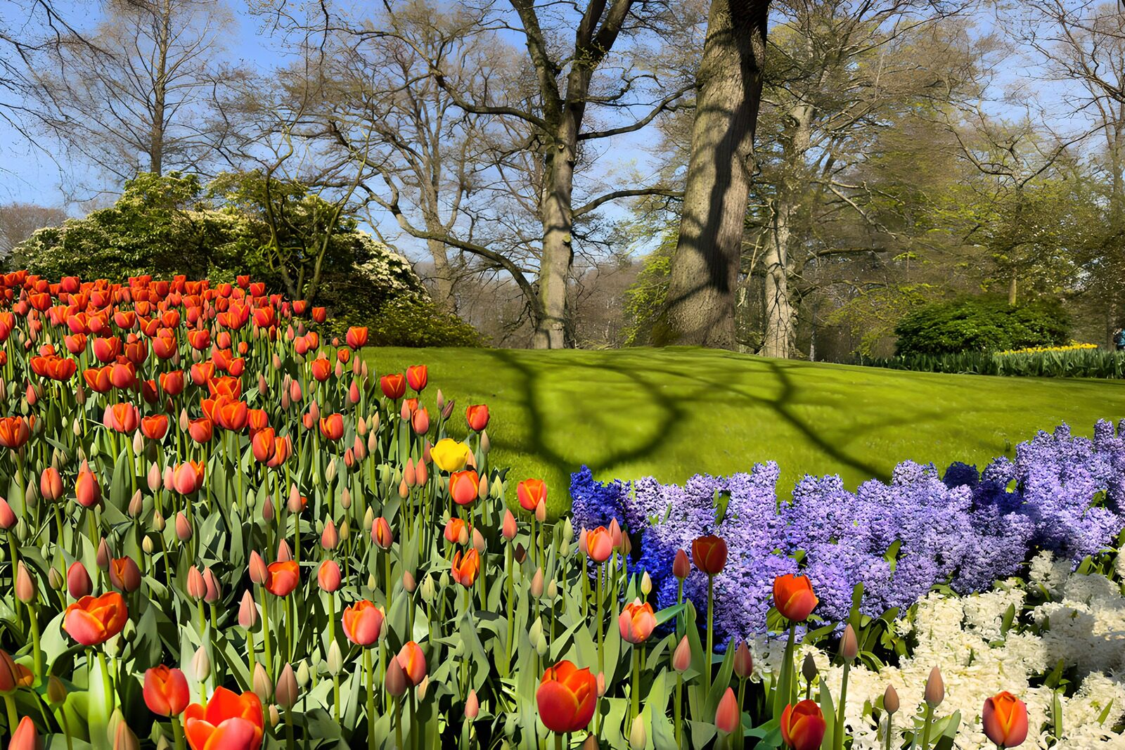TPFR97983: Jardins printaniers en fleurs