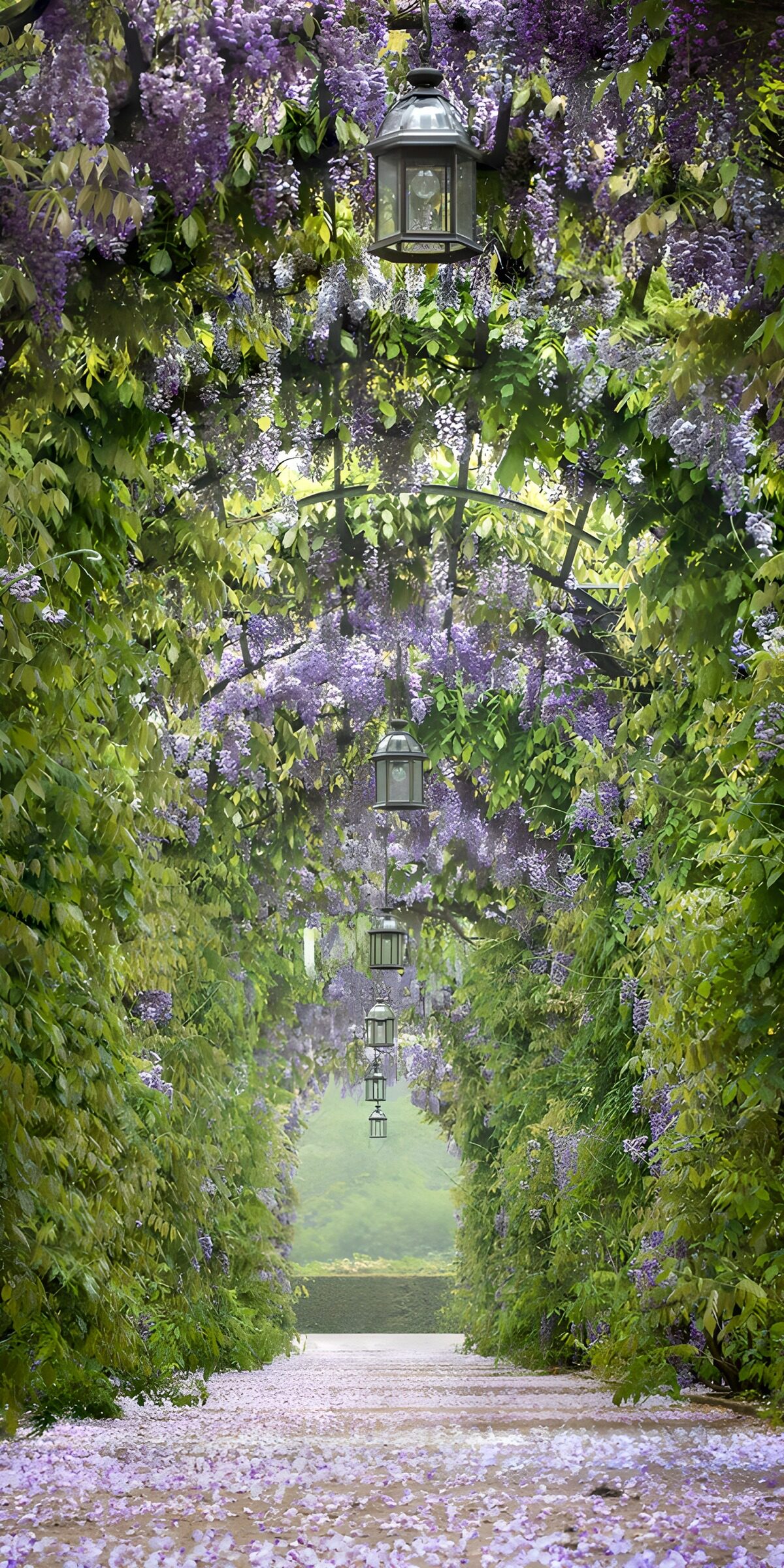 TPFR92209: Allée de fleurs violettes enchantées