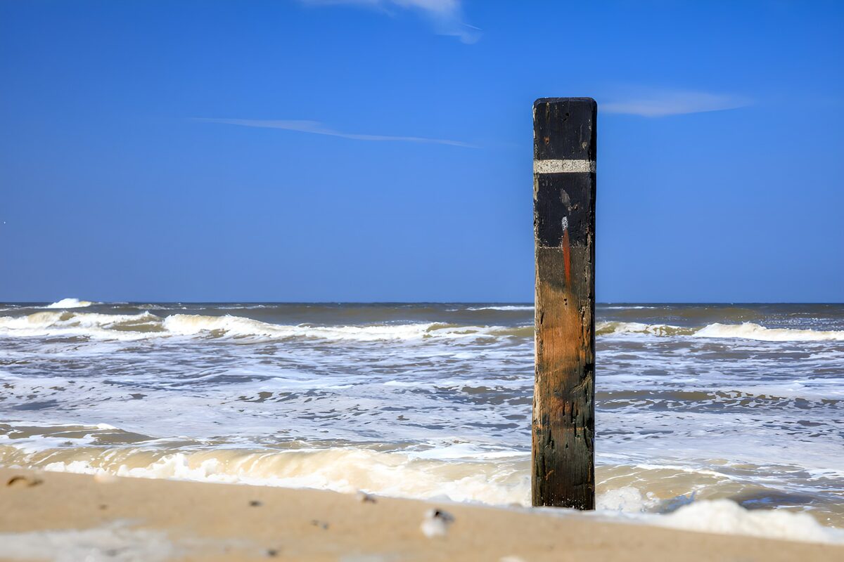 TPFR78572: Pieu de bois sur la plage ensoleillée