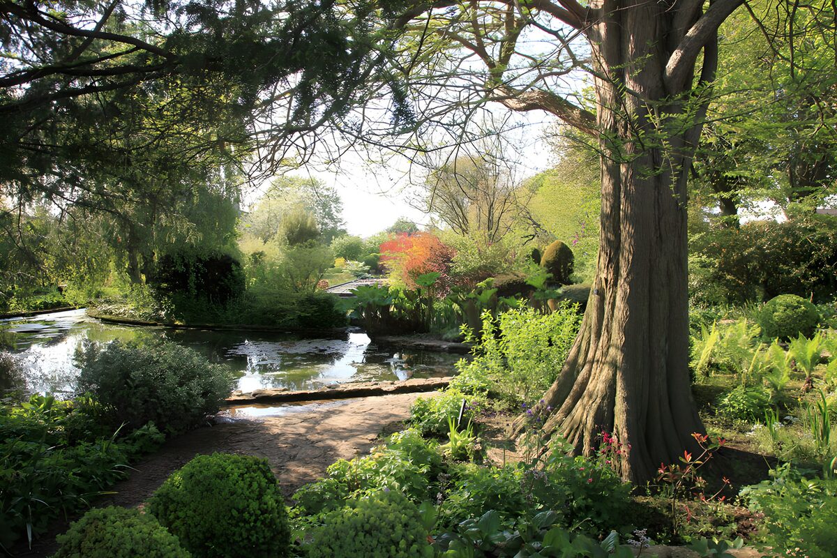 TPFR66003: Jardin paisible au bord de l'eau