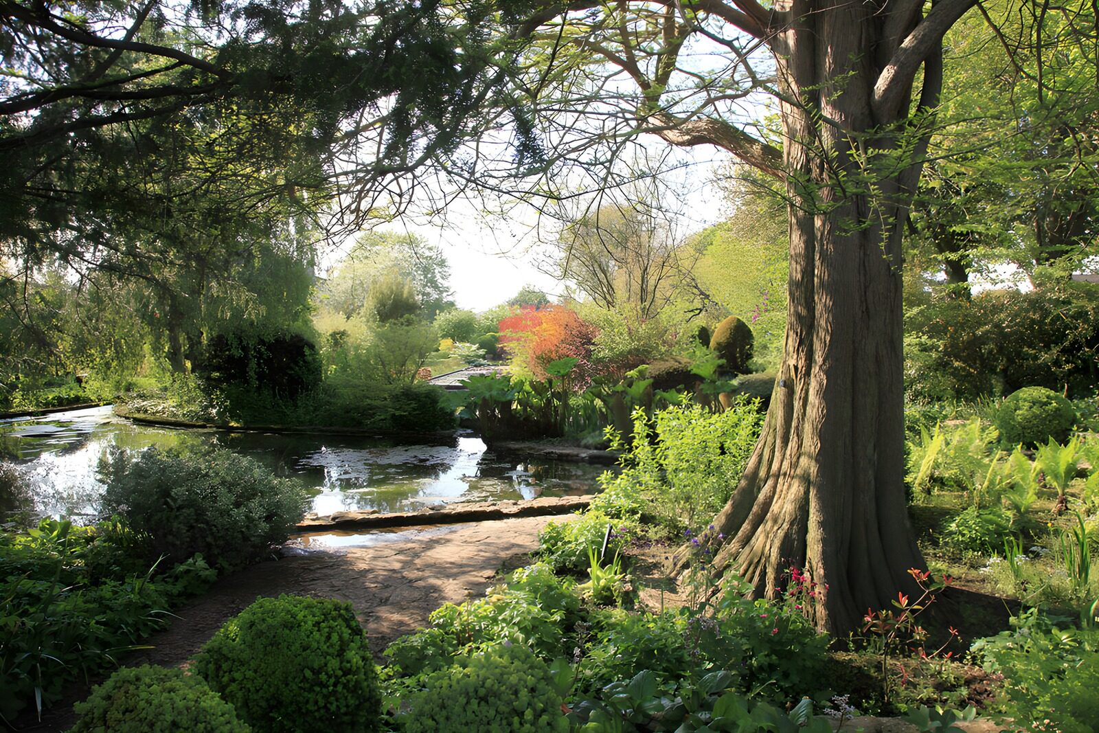 TPFR66003: Jardin paisible au bord de l'eau