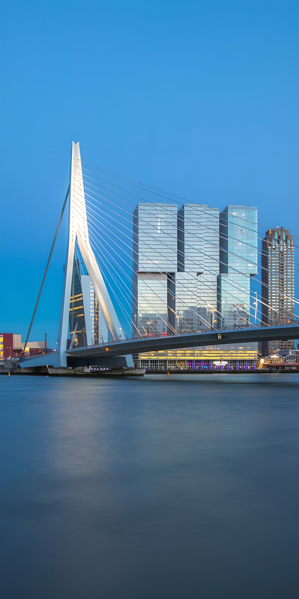 TPFR12509: Le pont Erasmus et les bâtiments modernes