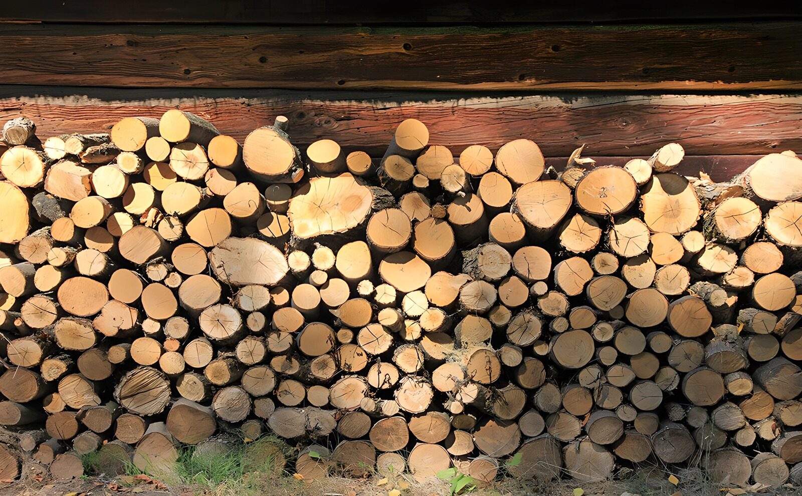 TPFR41396: Tas de bois bien ordonnée