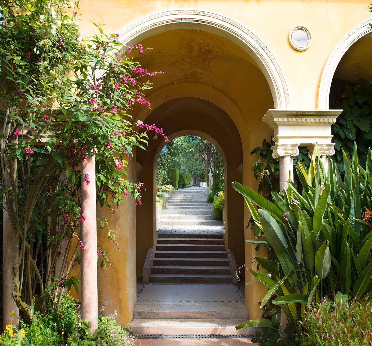 TPFR54584: Passerelle vers un jardin secret
