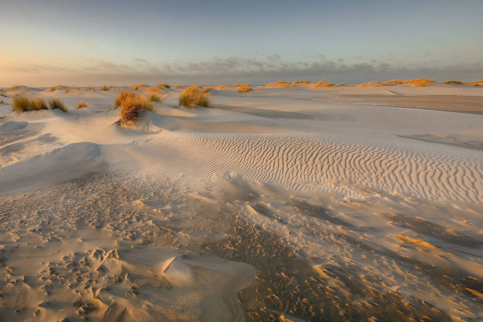TPFR71206: Dunes de sable au coucher du soleil
