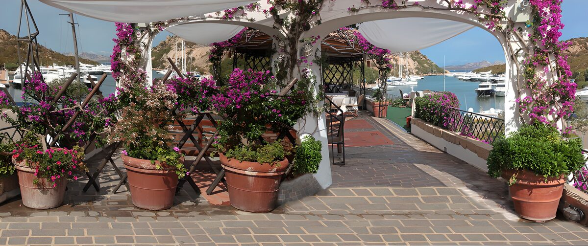 TPFR87729: Terrasse fleurie au bord de la mer