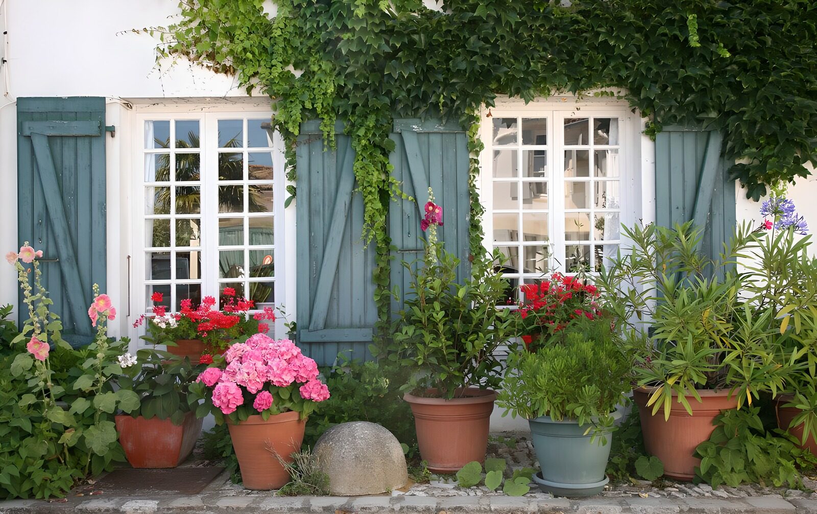 TPFR96459: Façade de maison en fleurs colorées