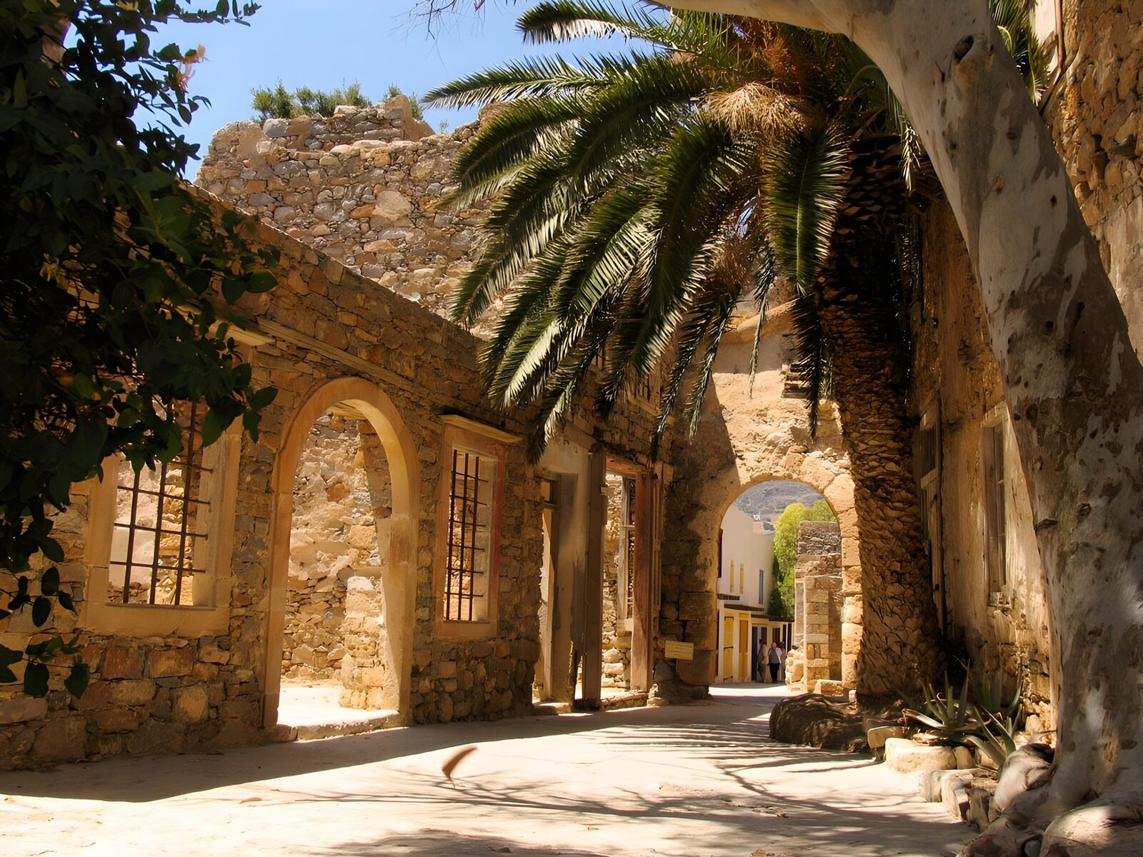 TPFR67002: Chemin de la Grèce antique avec palmier
