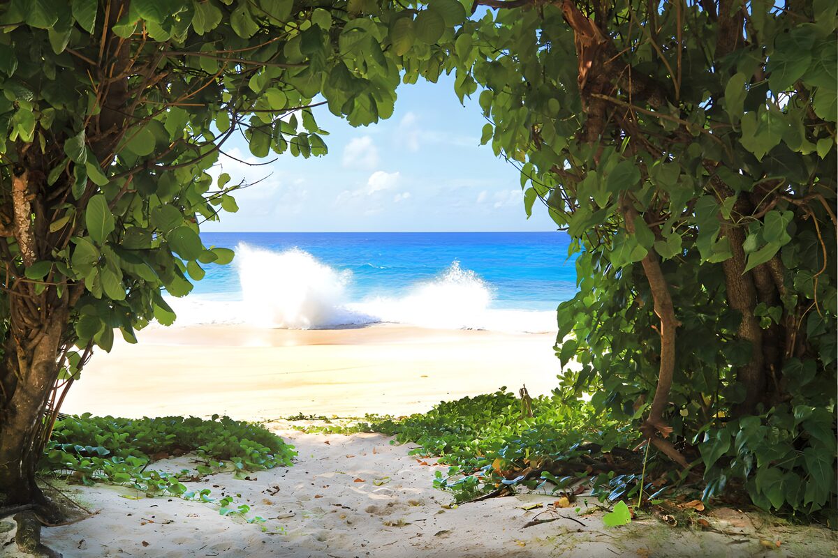 TPFR99480: Regard sur la plage ensoleillée