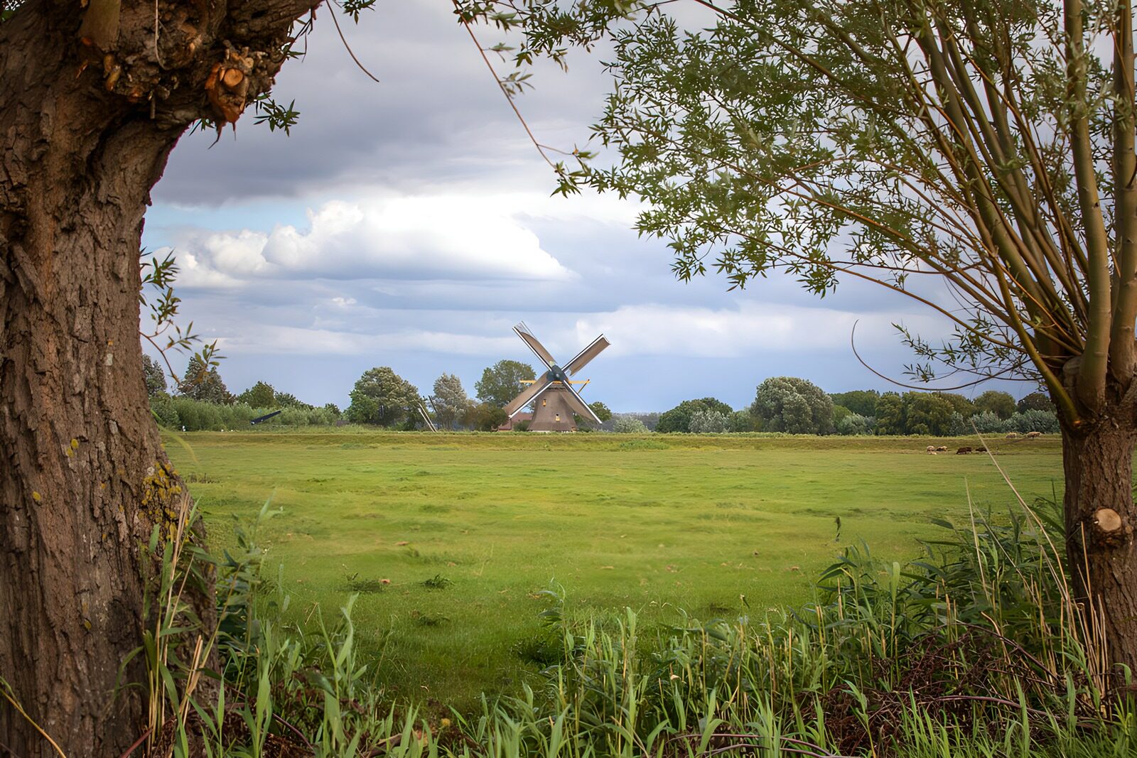 TPFR28626: Moulin au milieu des champs verdoyants
