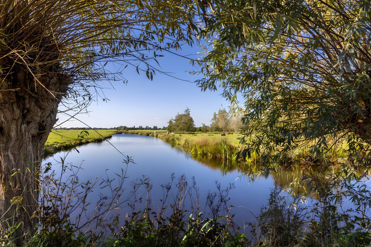 TPFR71273: Paysage paisible au bord de l'eau