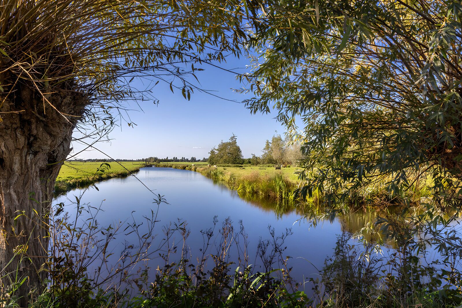 TPFR71273: Paysage paisible au bord de l'eau