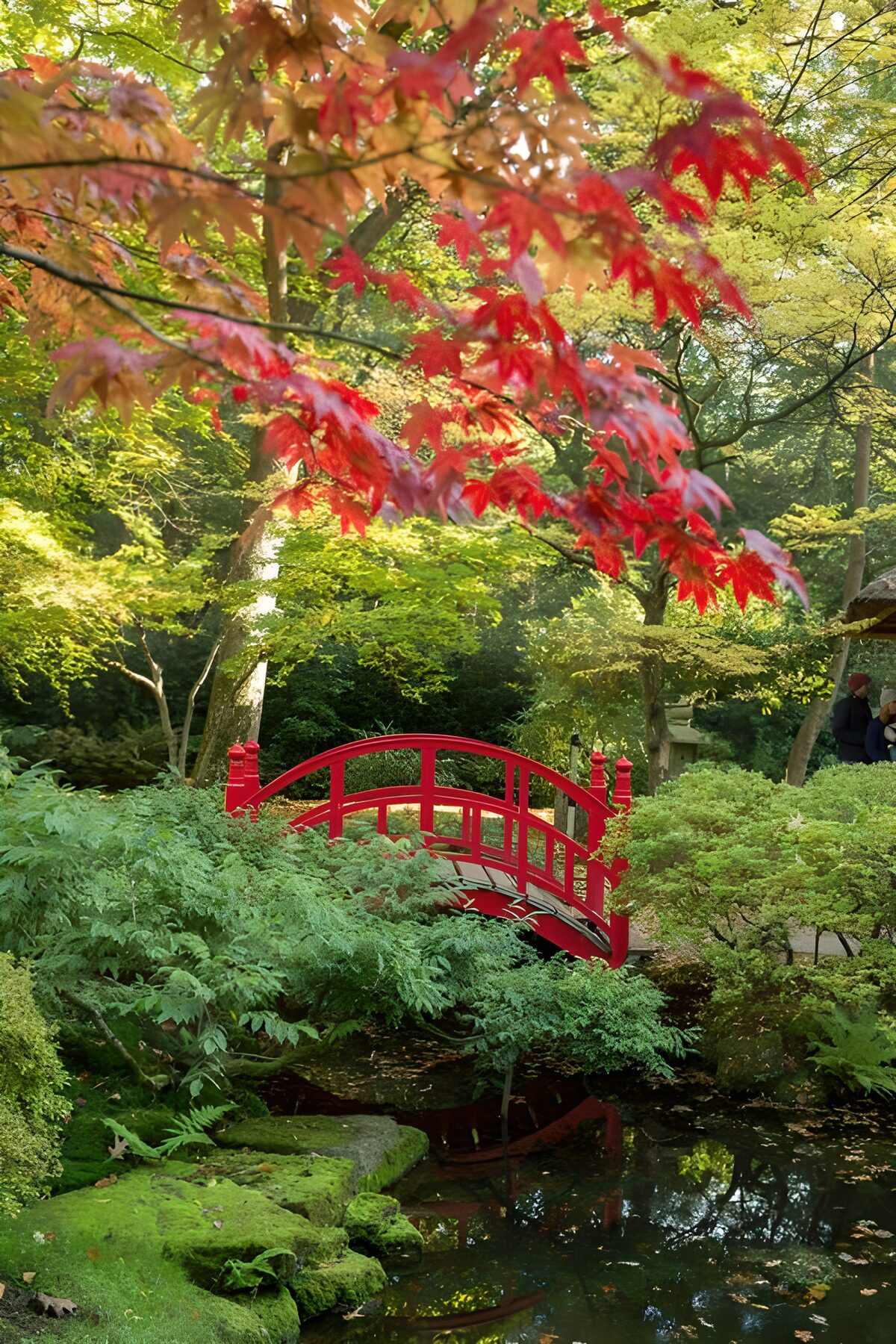 TPFR98363: Pont rouge dans un jardin paisible