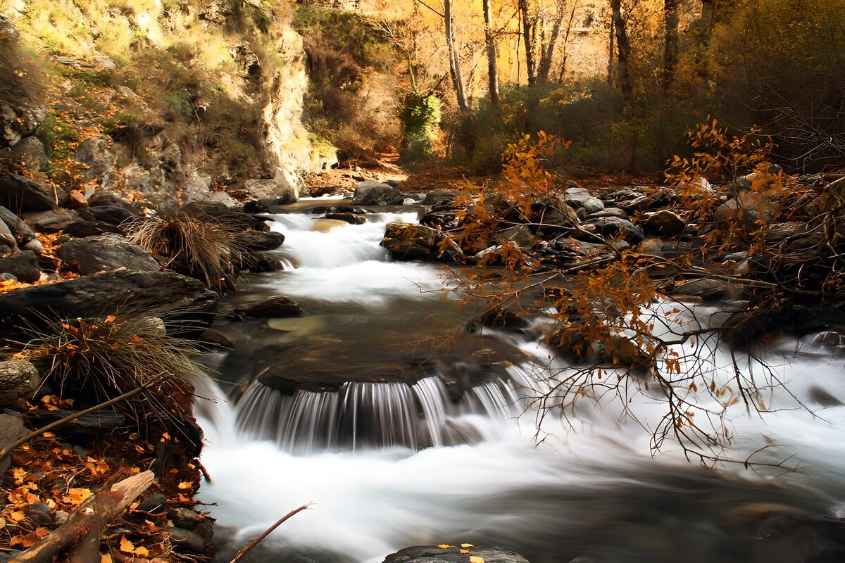 TPFR64438: Ruisseau paisible en automne
