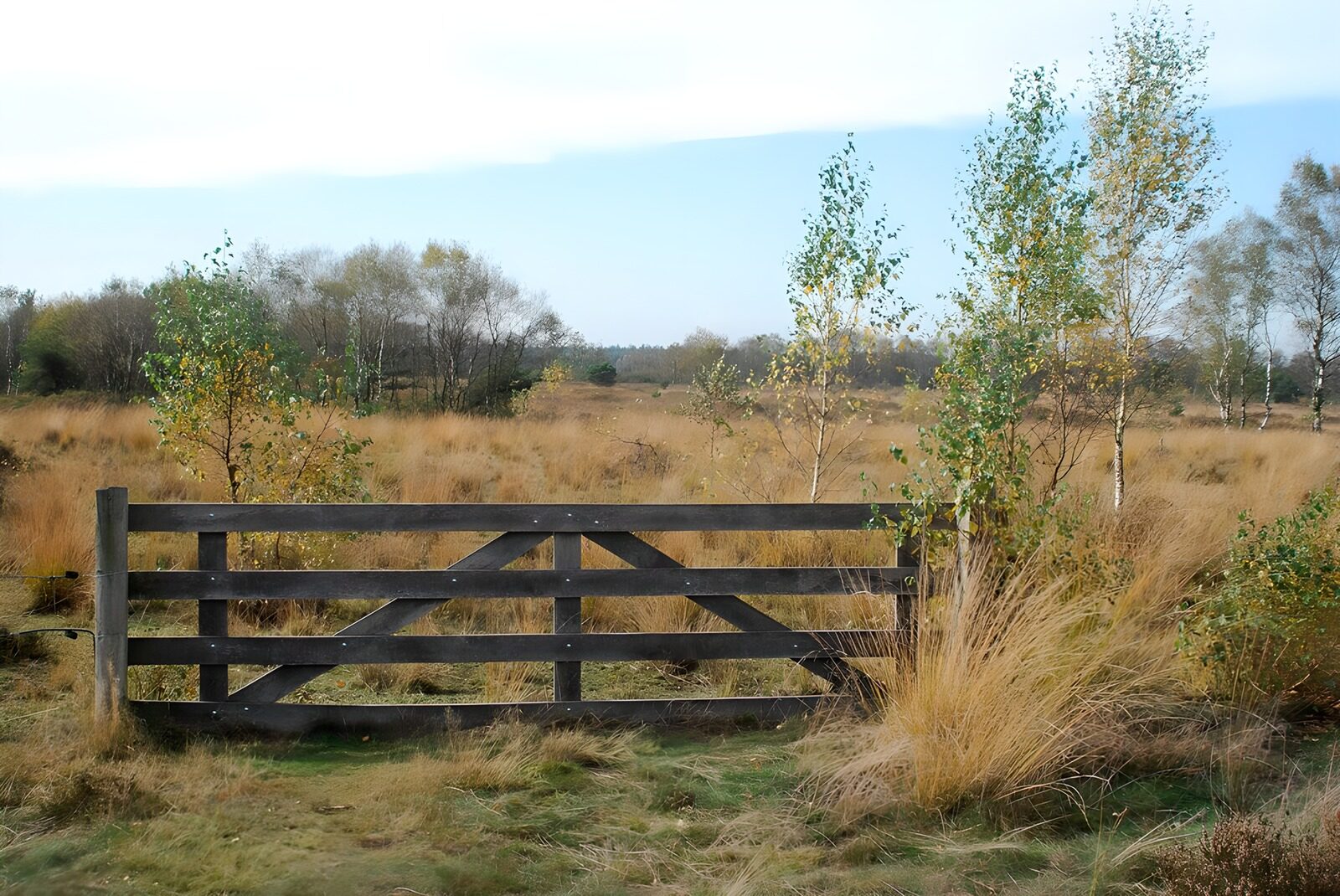 TPFR35298: Une porte rustique dans la nature