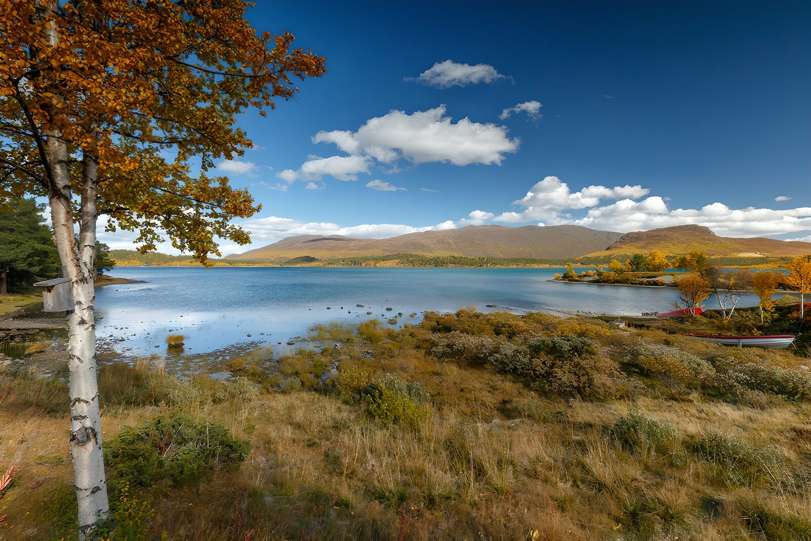 TPFR65400: Paysage automnal au bord du lac