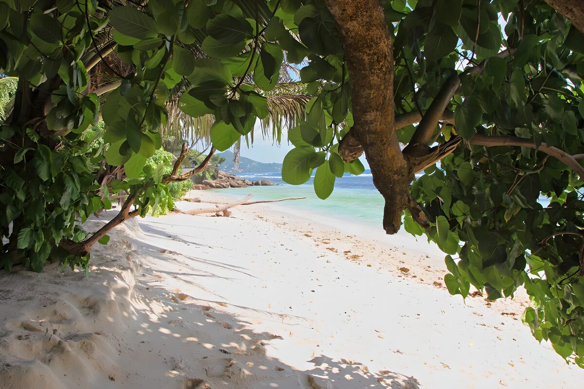 TPFR29694: Plage secrète entourée de verdure