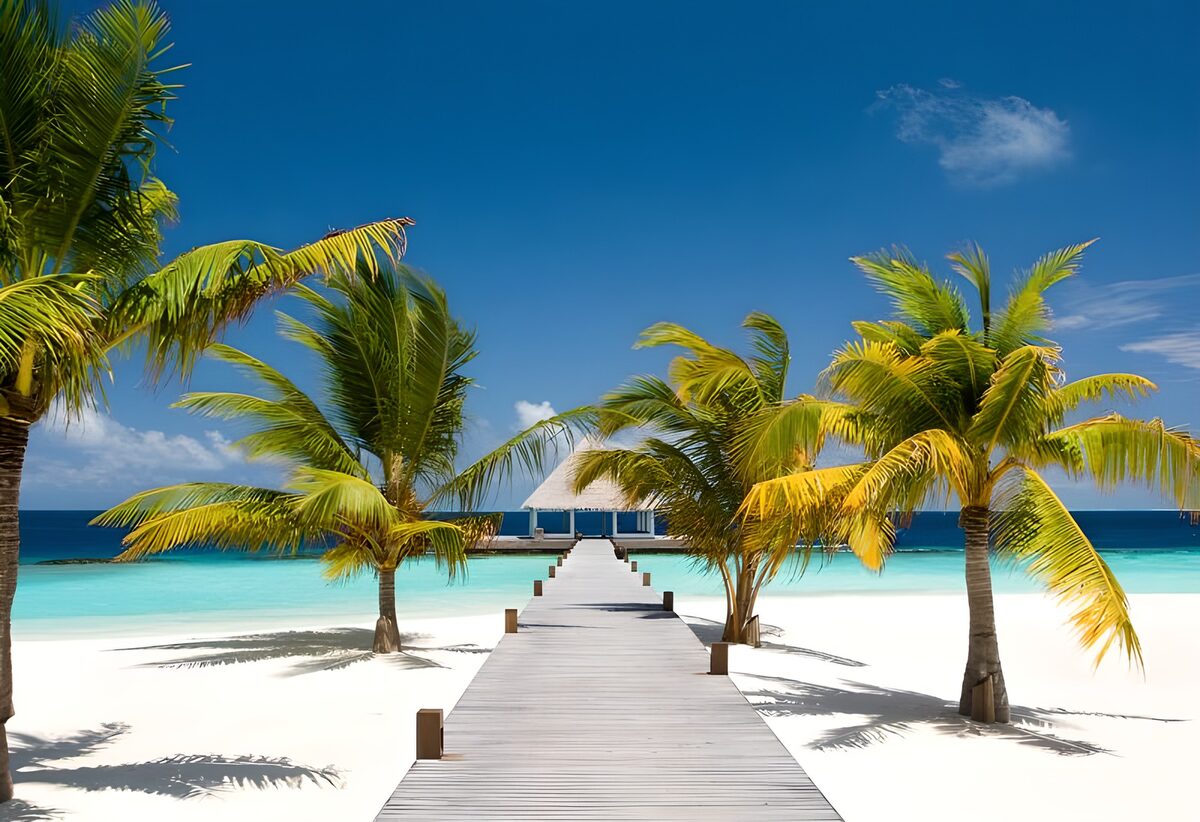 TPFR63078: Ponton aux Maldives avec palmiers