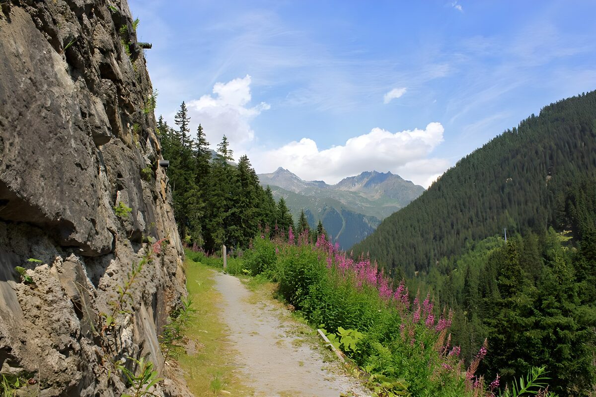 TPFR79777: Sentier montagnard et panorama