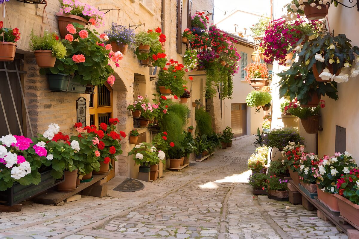 Rue fleurie dans un village pittoresque