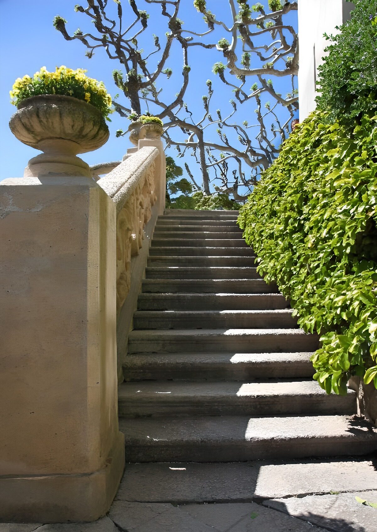 TPFR38658: Escaliers ensoleillés du jardin