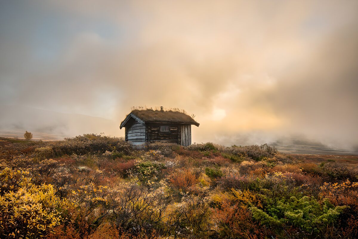 TPFR83669: Cabane isolée au milieu de la nature