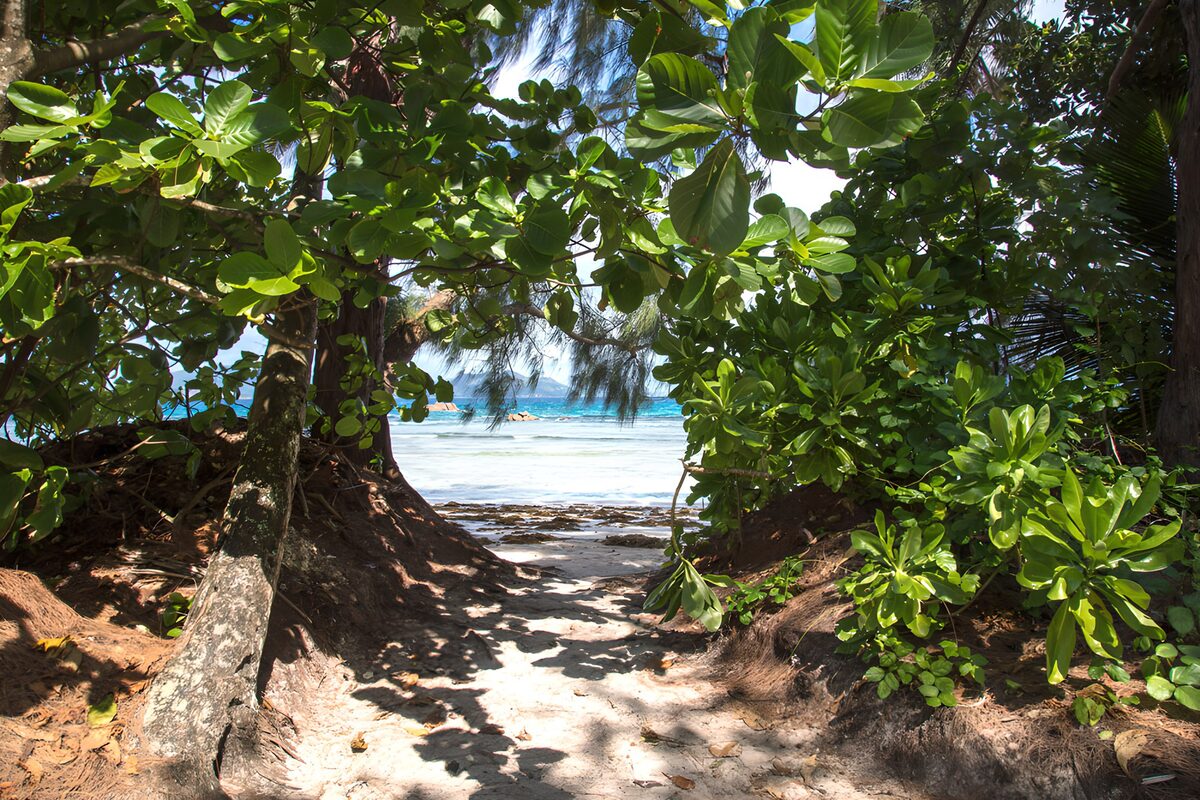 TPFR56924: Sentier vers la plage paradisiaque