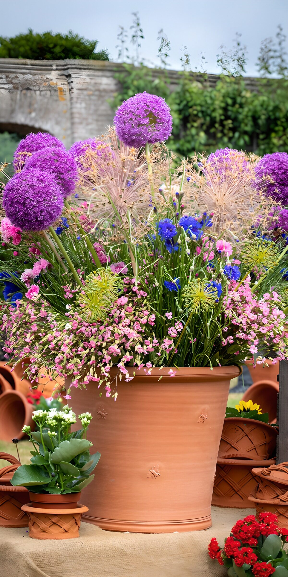 TPFR62682: Bouquet de fleurs en pot en terre cuite