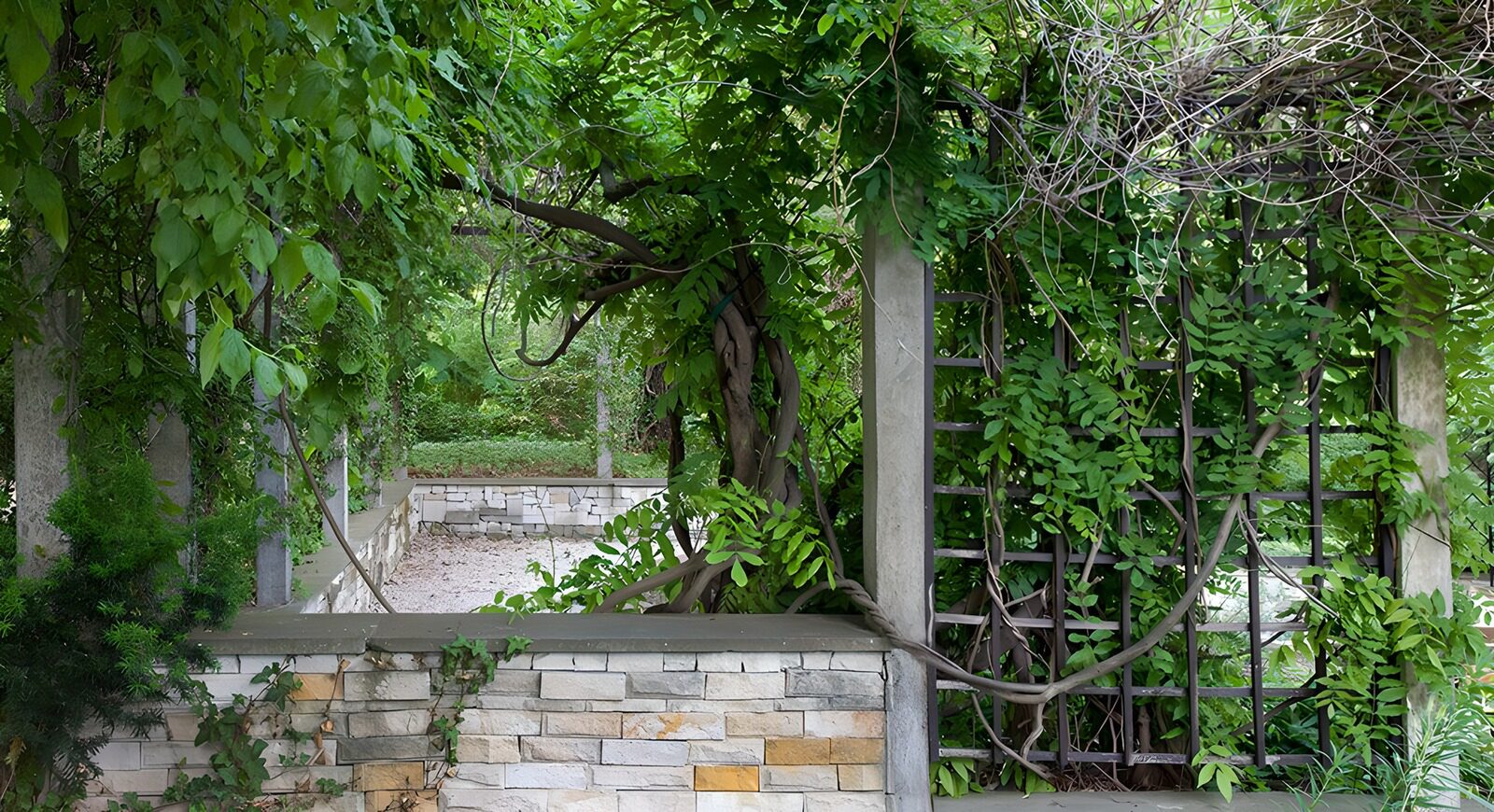 TPFR95824: Jardin verdoyant aux grilles en fer