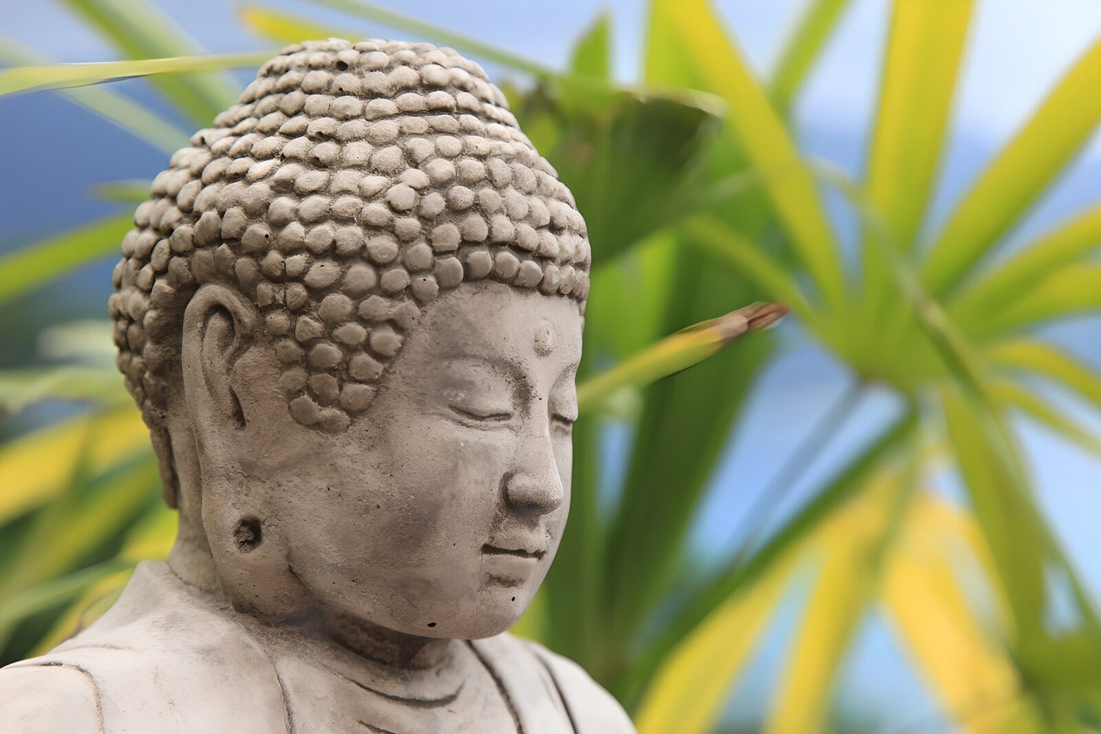 TPFR16824: : Statue de Bouddha dans la nature