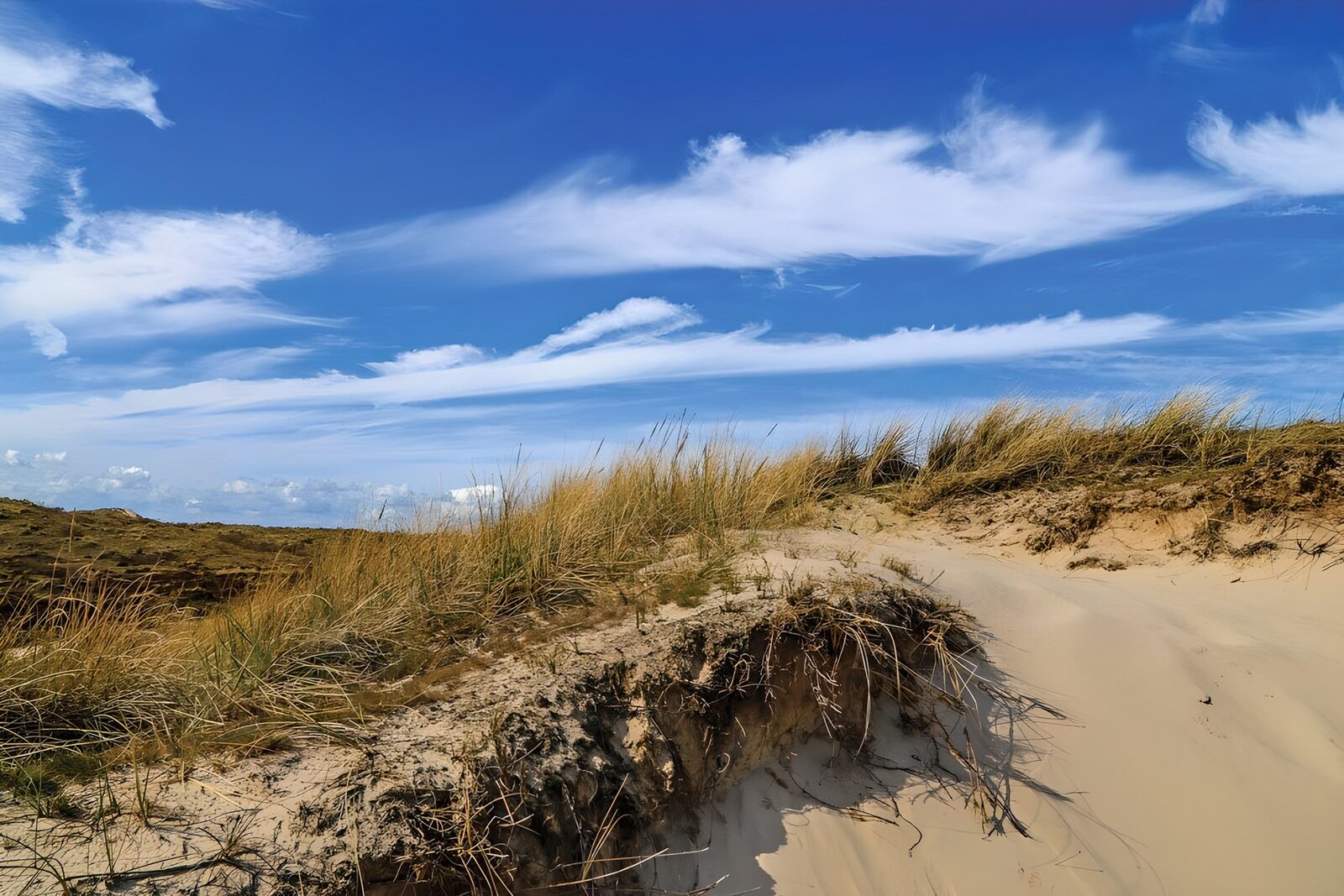 TPFR58941: Dunes de sable sous un ciel bleu