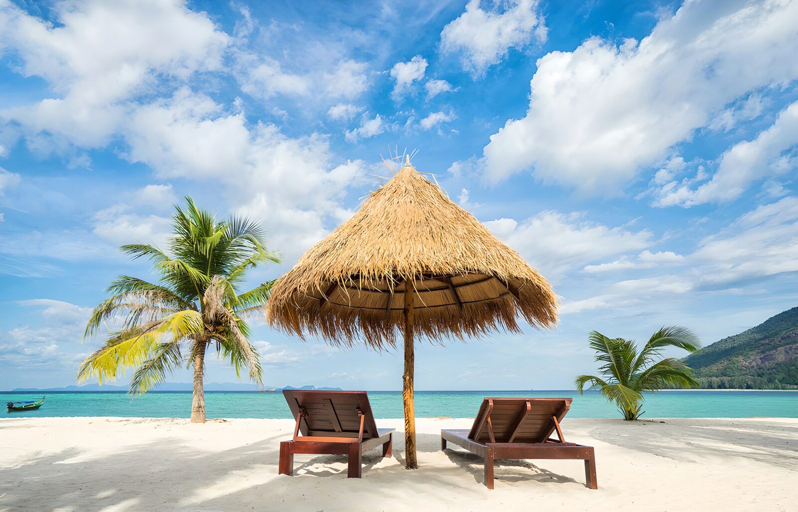 TPFR13742: Plage tropicale paradisiaque