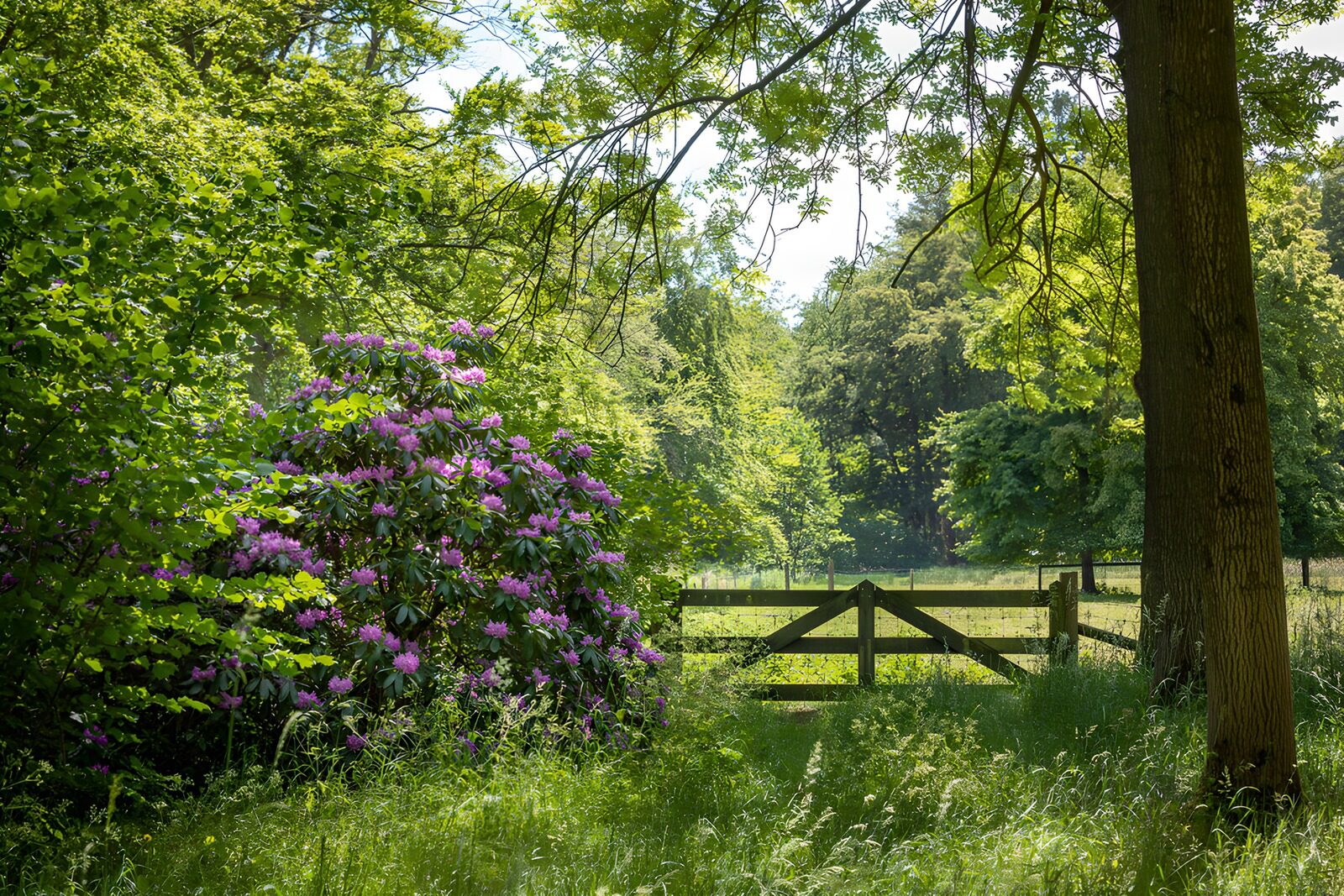 TPFR72680: La beauté cachée de la nature
