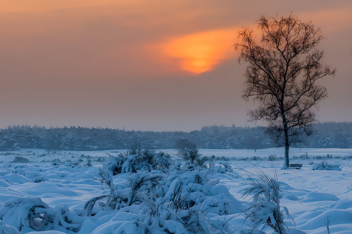 Lever de soleil hivernal sur la nature