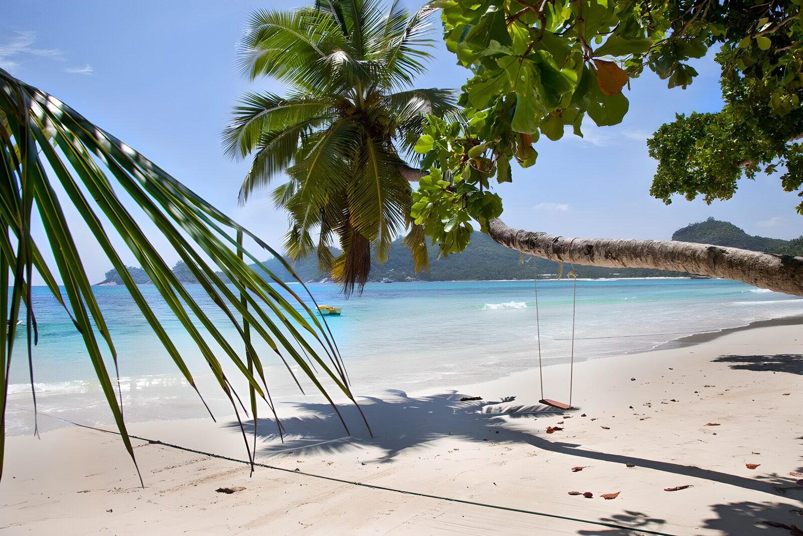 TPFR59781: Plage paradisiaque sous les palmiers