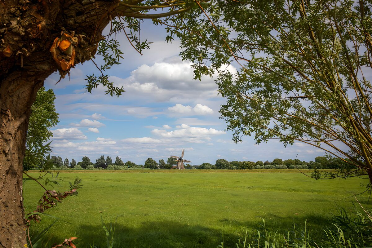 TPFR10598: Paysage paisible avec moulin à vent