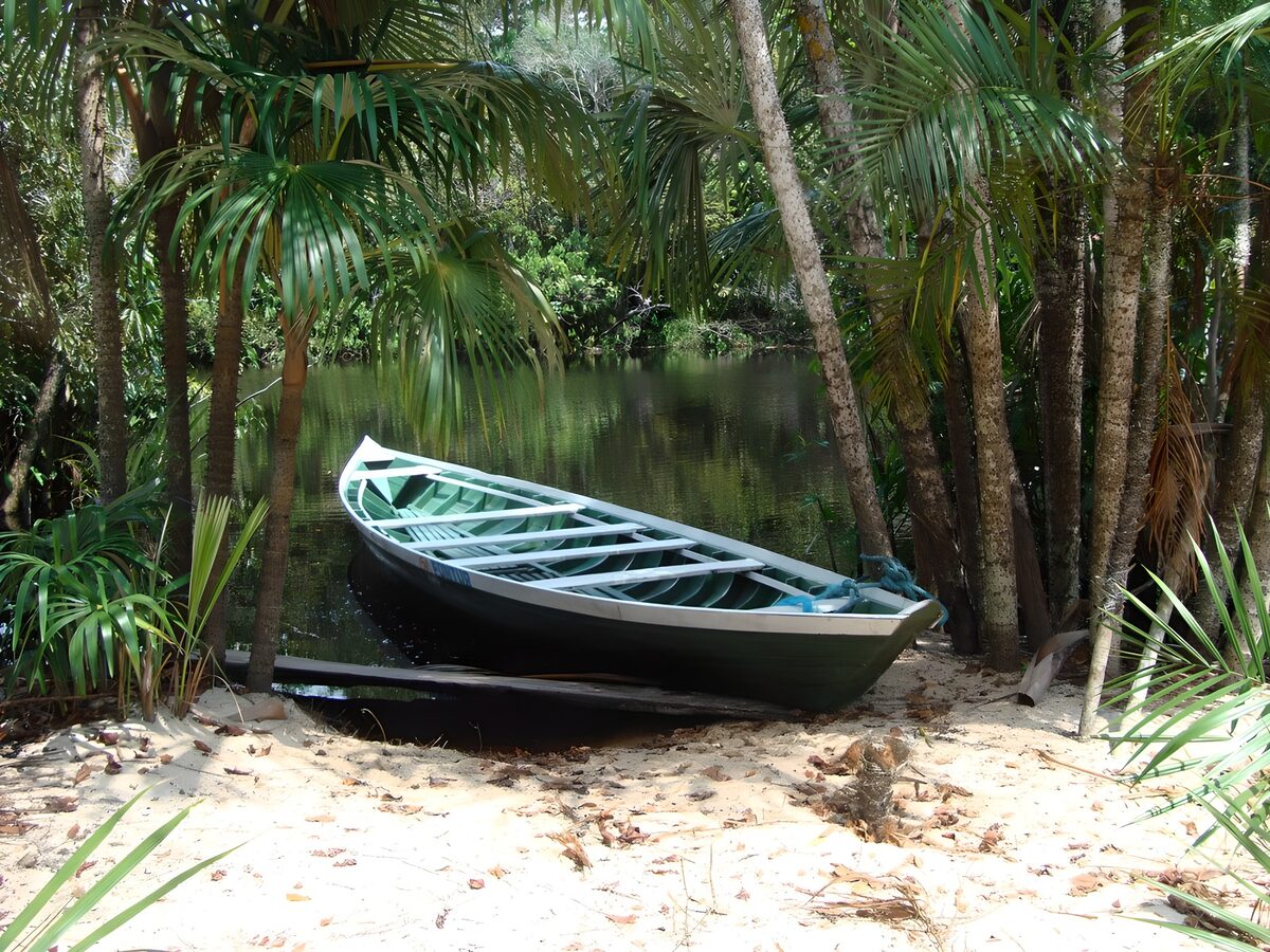TPFR97562: Barque tranquille dans la jungle