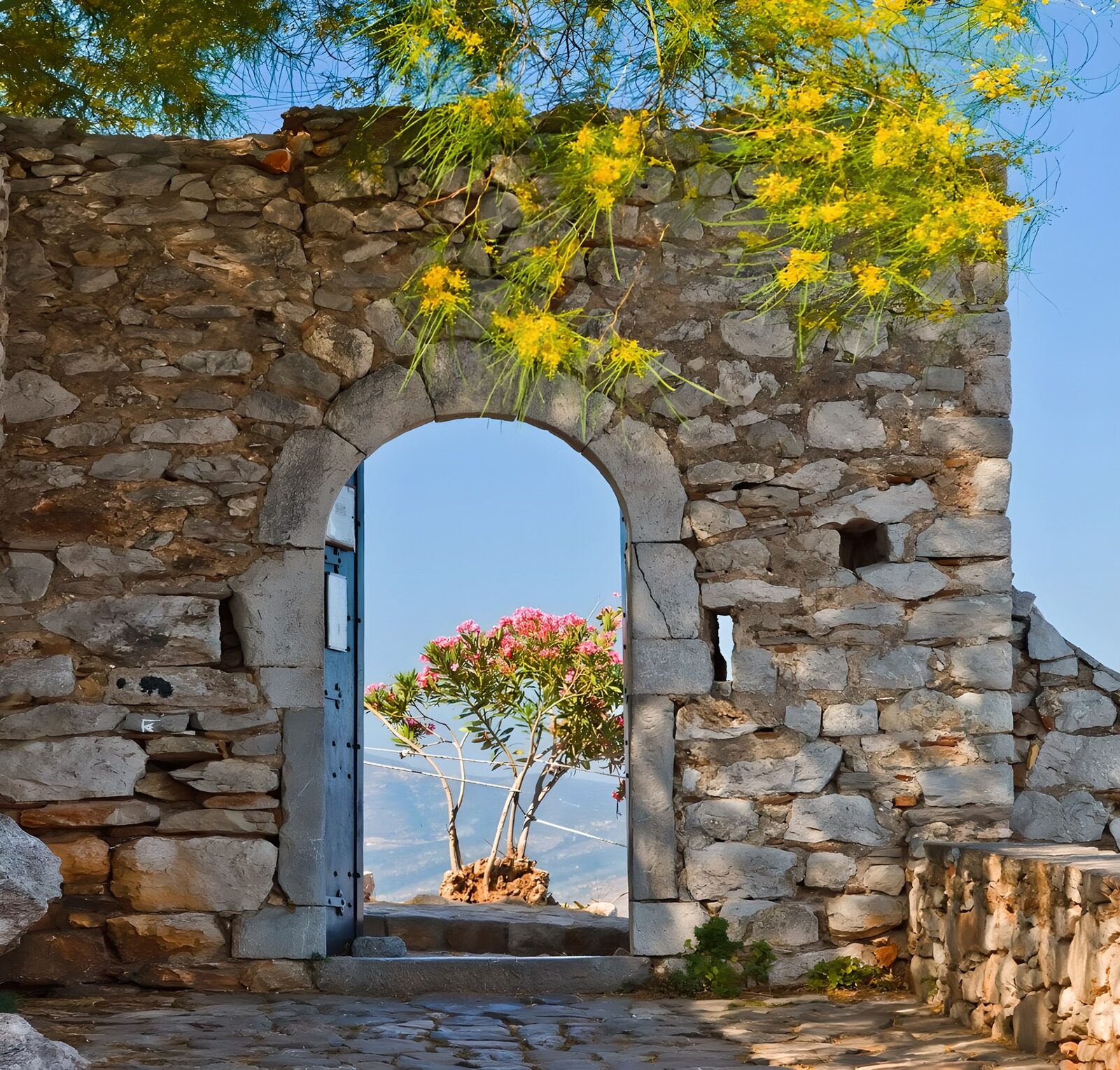 TPFR68390: La porte sur la nature