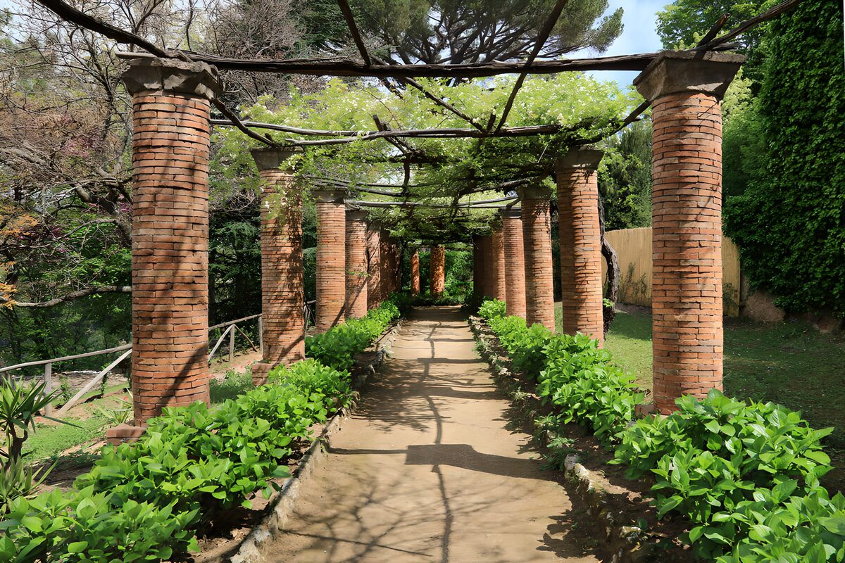 TPFR15700: Allée ombragée dans un jardin paisible