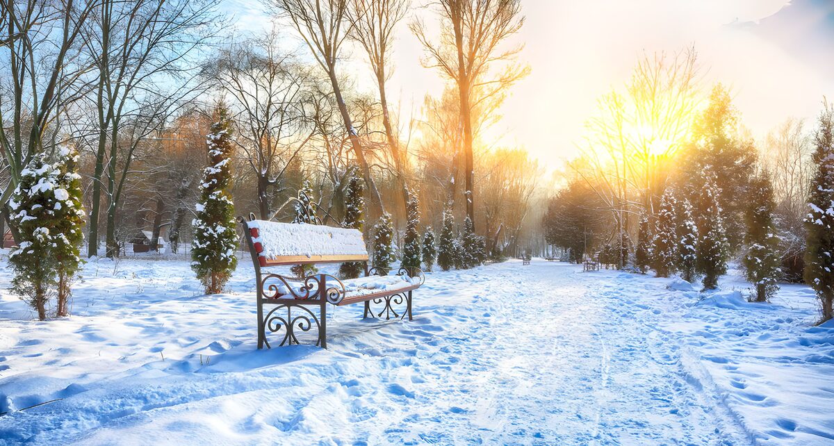 TPFR72322: Paysage d'hiver ensoleillé