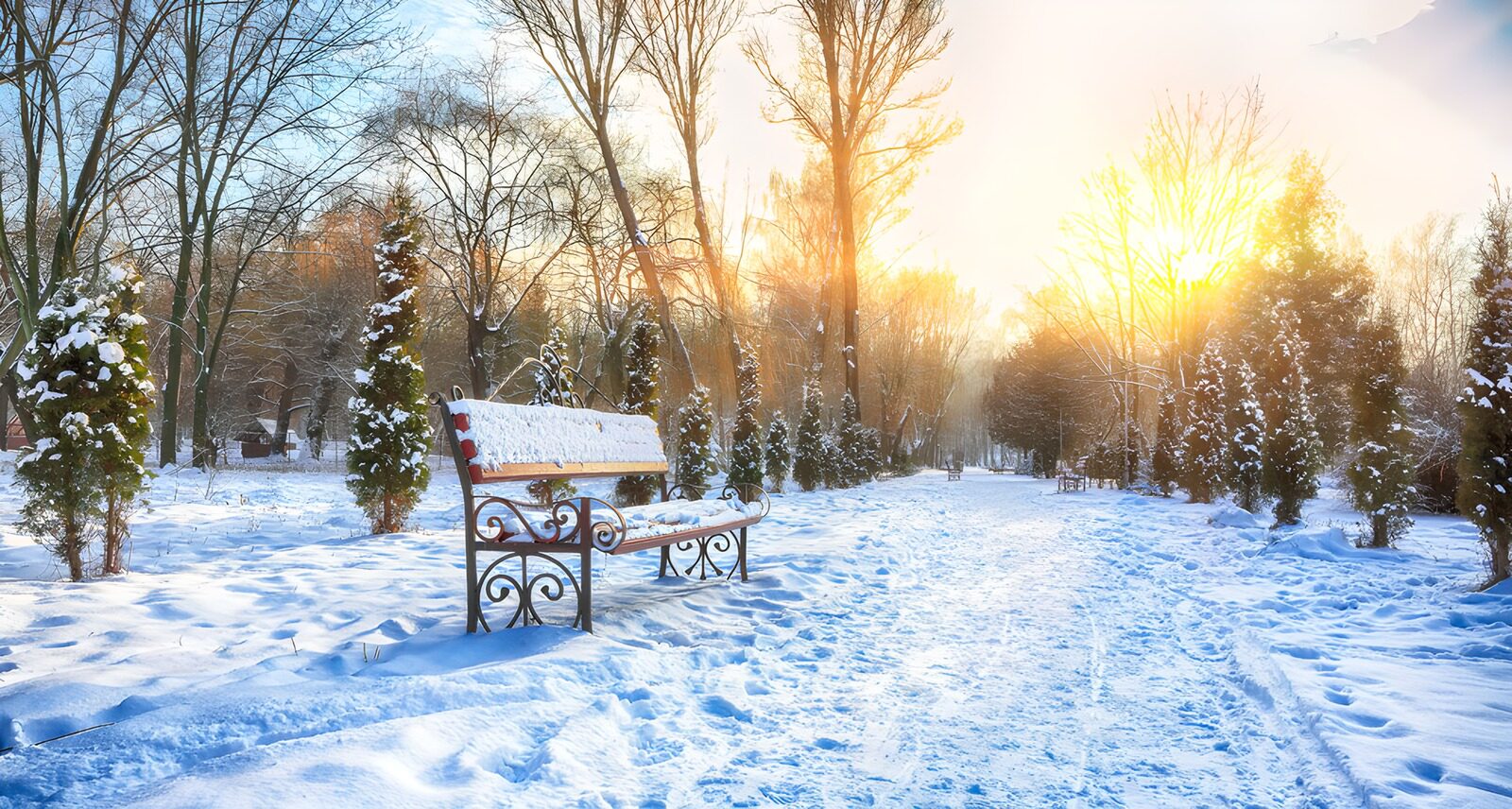 TPFR72322: Paysage d'hiver ensoleillé