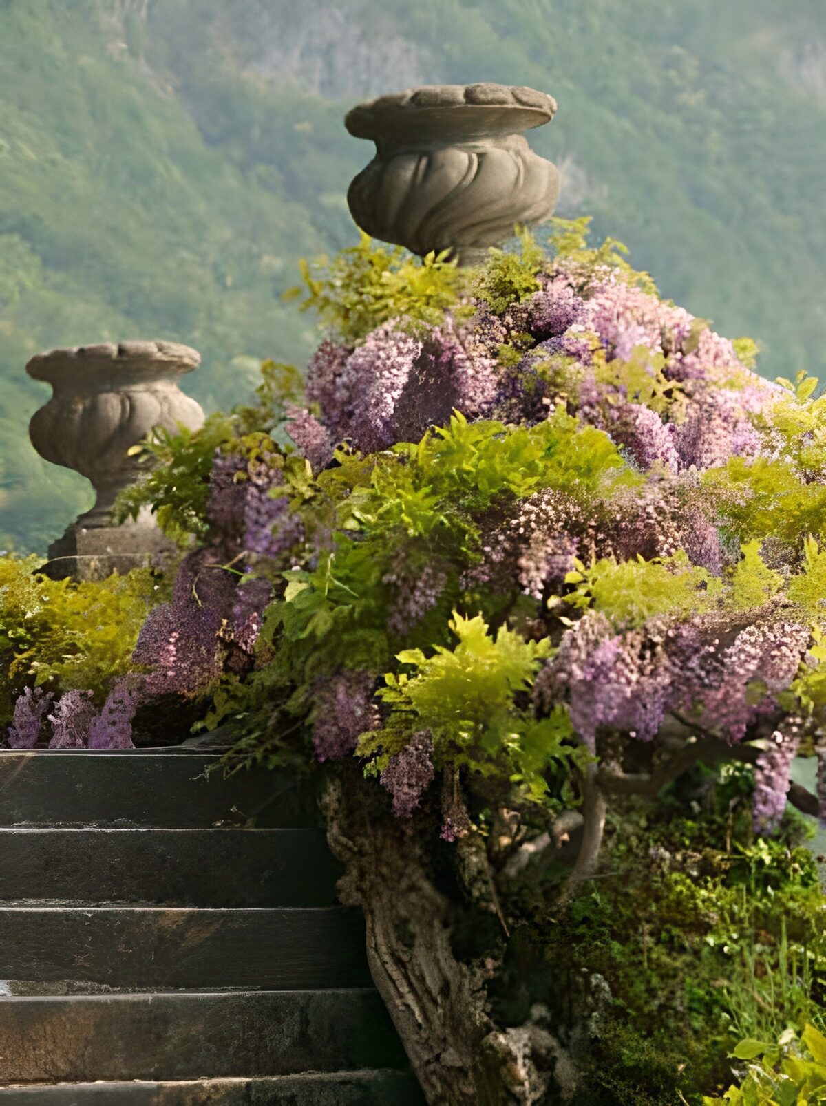 TPFR67569: Glycine mauve bordant un escalier de pierre avec urnes décoratives