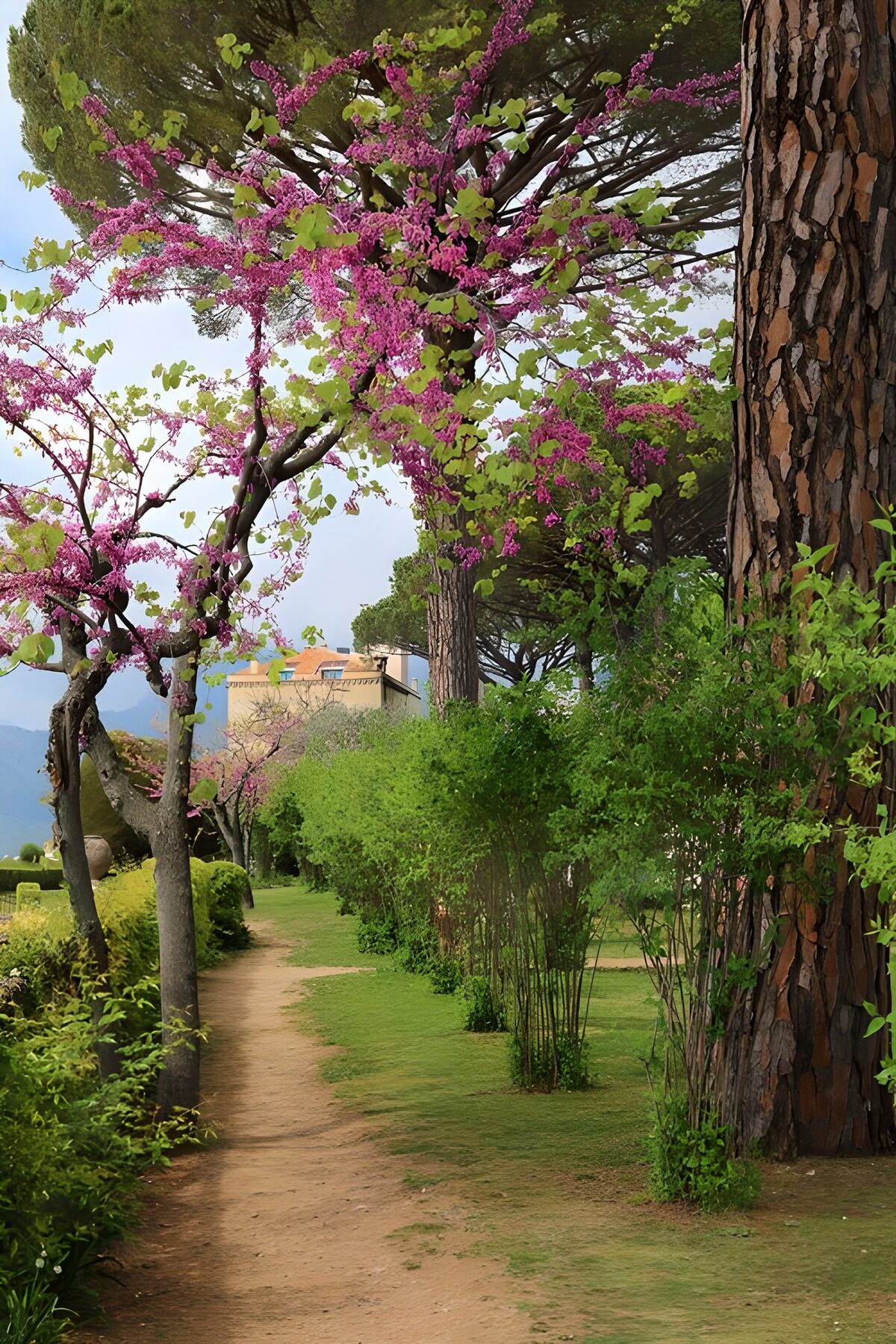 TPFR49634: Chemin fleuri dans un jardin paisible