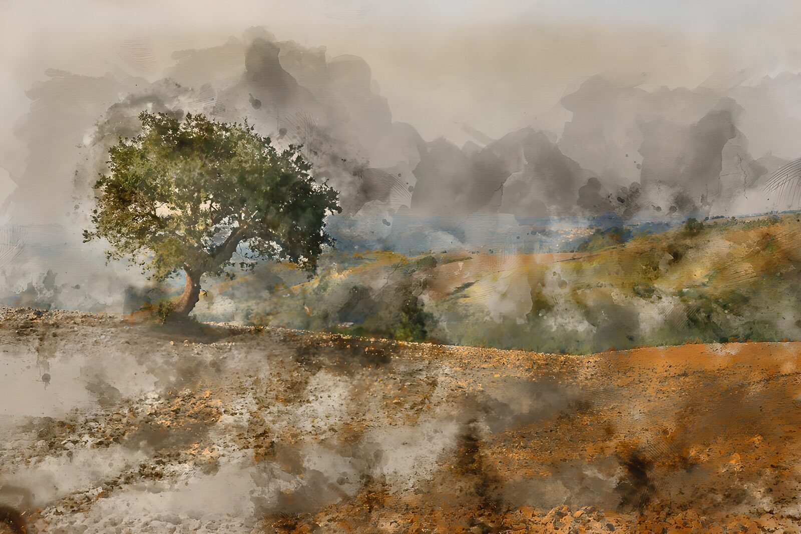 TPFR11436: Arbre solitaire dans un paysage brumeux