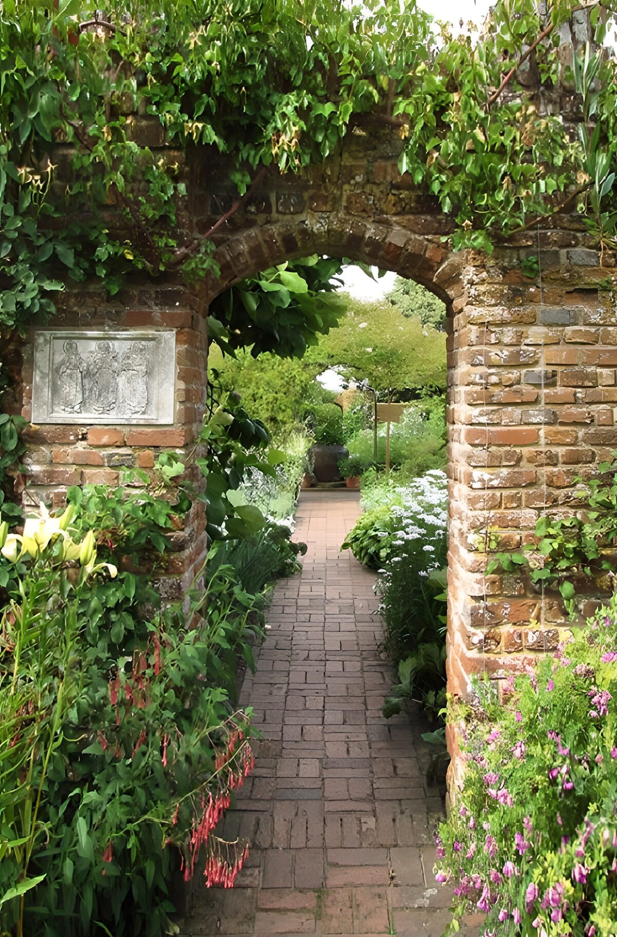 TPFR36186: Chemin fleuri à travers l'arche