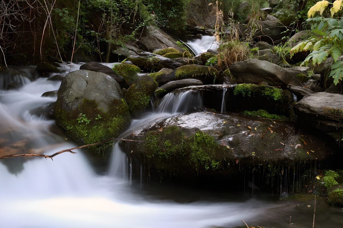 TPFR37241: Cascade paisible dans la nature verdoyante