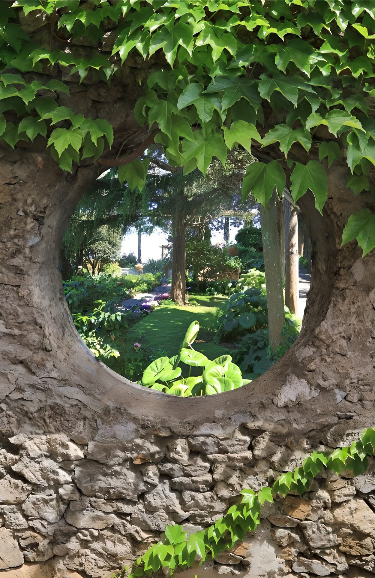 TPFR81950: Vue circulaire sur le jardin luxuriant