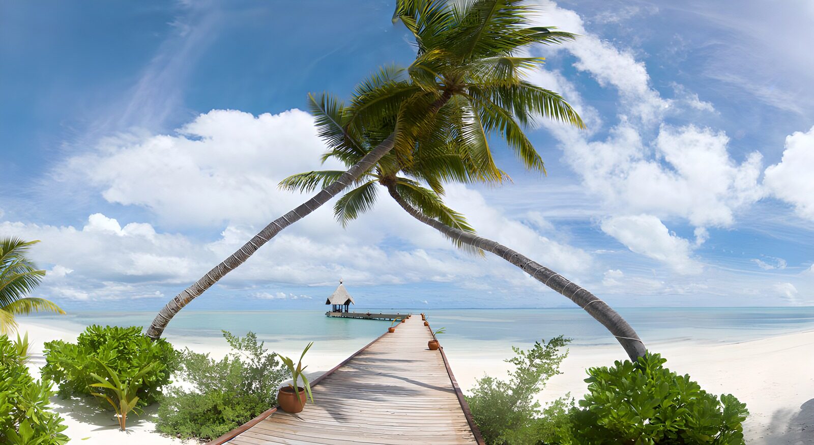 TPFR43044: Paradis tropical au bord de la mer