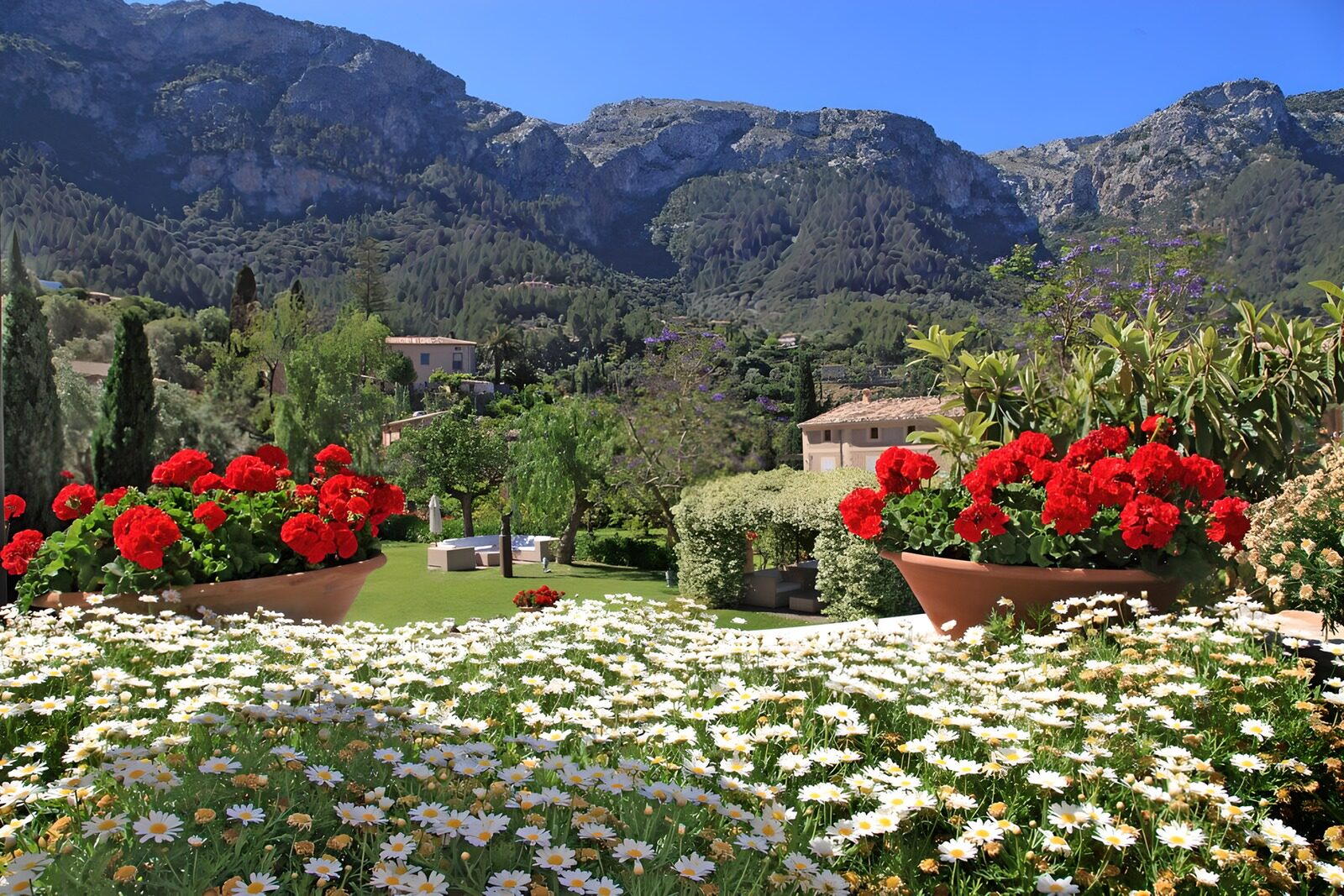 TPFR31955: Jardin en fleurs avec montagnes en arrière-plan