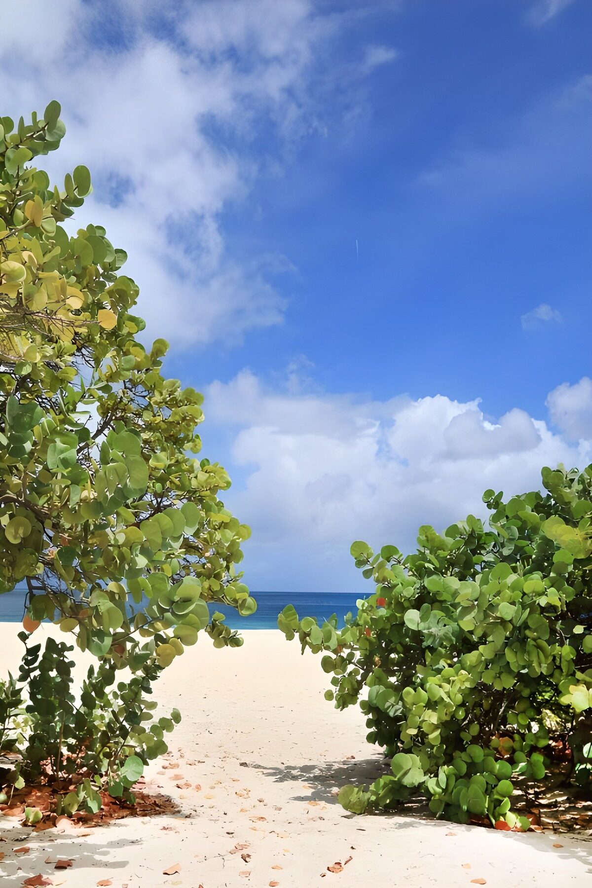 TPFR94896: Une vue paisible vers la mer